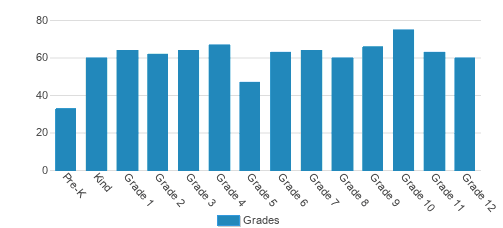 Madison Academy Student By Grade Madison Academy Student By Grade