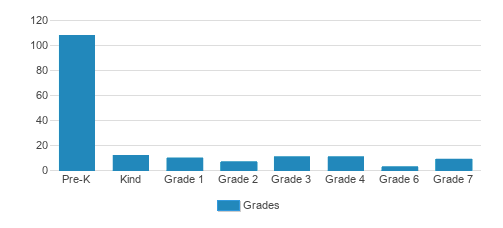 The Renaissance International School Student By Grade The Renaissance International School Student By Grade