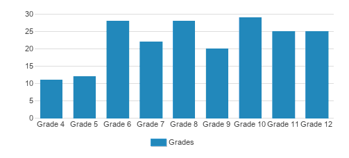 Bridges Academy Student By Grade Bridges Academy Student By Grade