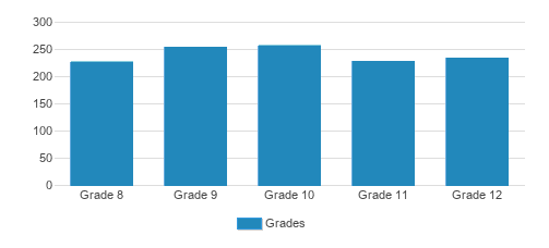 Mount Carmel Academy Student By Grade Mount Carmel Academy Student By Grade
