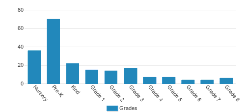 Bay Farm Montessori Academy Student By Grade Bay Farm Montessori Academy Student By Grade