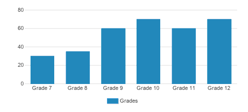 Fontbonne Student By Grade Fontbonne Student By Grade
