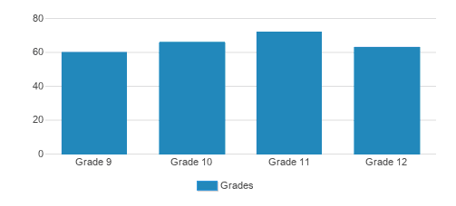 Notre Dame High School Student By Grade Notre Dame High School Student By Grade