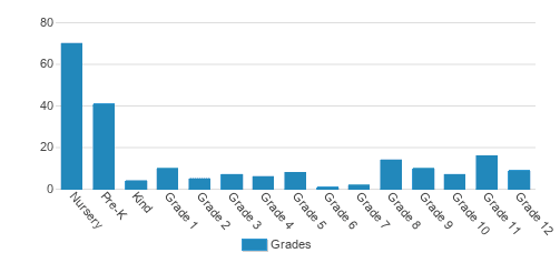 Brooklyn Amity School Student By Grade 