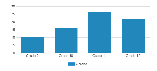 Salem Academy Student By Grade Salem Academy Student By Grade