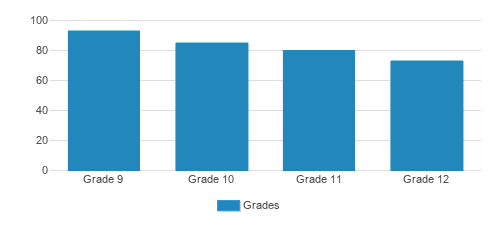 St. Mary Central High School Student By Grade St. Mary Central High School Student By Grade