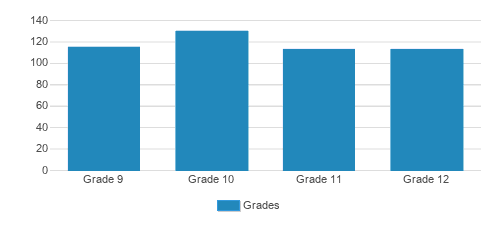 Gwynedd Mercy Academy High School Student By Grade 