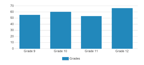 Nativity Bvm High School Student By Grade Nativity Bvm High School Student By Grade