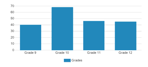 Nativity Bvm High School Student By Grade Nativity Bvm High School Student By Grade