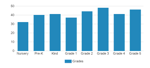 The Bright School Student By Grade The Bright School Student By Grade
