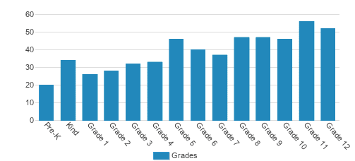 Clarksville Academy Student By Grade Clarksville Academy Student By Grade