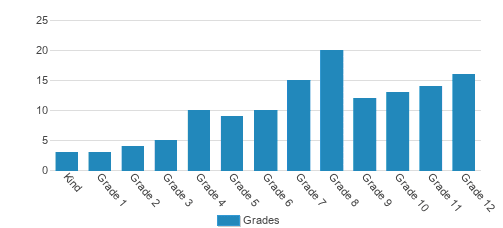 Hill School Of Fort Worth Student By Grade Hill School Of Fort Worth Student By Grade