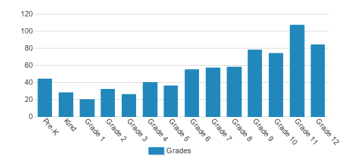 Lutheran South Academy Student By Grade Lutheran South Academy Student By Grade