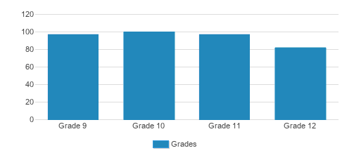 Rice Memorial High School Student By Grade Rice Memorial High School Student By Grade