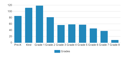 Bellevue Children's Academy Student By Grade Bellevue Children's Academy Student By Grade