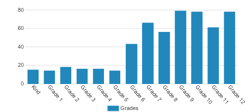 New Roads School Student By Grade New Roads School Student By Grade