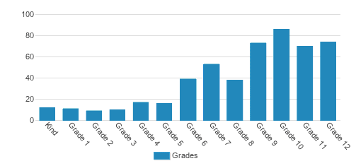 New Roads School Student By Grade New Roads School Student By Grade