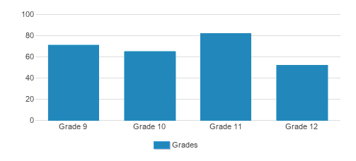 Luther High School Student By Grade Luther High School Student By Grade
