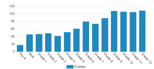 Princeton Day School Student By Grade Princeton Day School Student By Grade