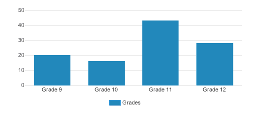 Frankel Jewish Academy Of Metro Detroit Student By Grade Frankel Jewish Academy Of Metro Detroit Student By Grade