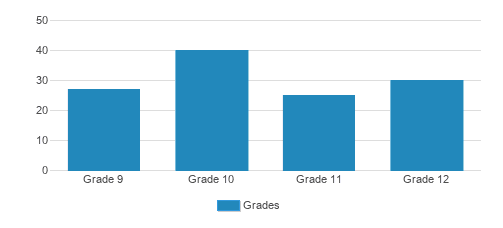 Frankel Jewish Academy Of Metro Detroit Student By Grade Frankel Jewish Academy Of Metro Detroit Student By Grade