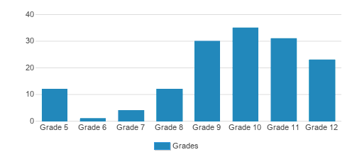 Youth Development Institute School Student By Grade Youth Development Institute School Student By Grade