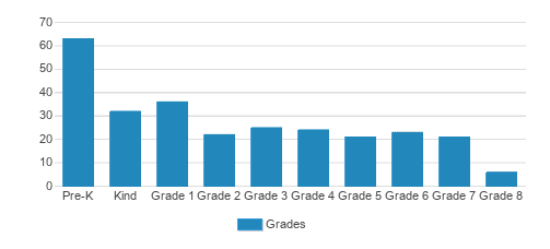 New Horizon School, Irvine Student By Grade New Horizon School, Irvine Student By Grade