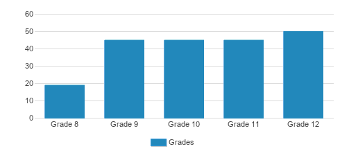York School Student By Grade York School Student By Grade