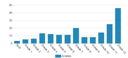 The Children's Institute of Pittsburgh Student By Grade The Children's Institute of Pittsburgh Student By Grade