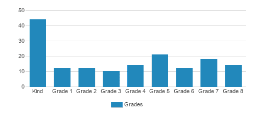 Brooklyn Waldorf School Student By Grade Brooklyn Waldorf School Student By Grade