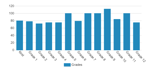 American Heritage School Student By Grade  American Heritage School Student By Grade