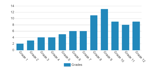 Stanbridge Academy Student By Grade Stanbridge Academy Student By Grade