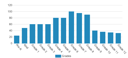Fulton Science Academy Private School Student By Grade Fulton Science Academy Private School Student By Grade