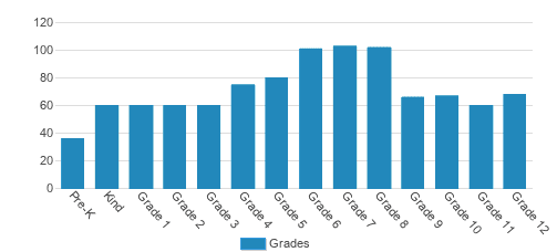 Fulton Science Academy  School Student By Grade 