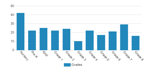 Bridges Academy (The) Student By Grade Bridges Academy (The) Student By Grade