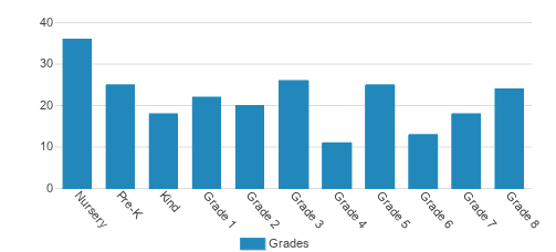 Bridges Academy (The) Student By Grade Bridges Academy (The) Student By Grade