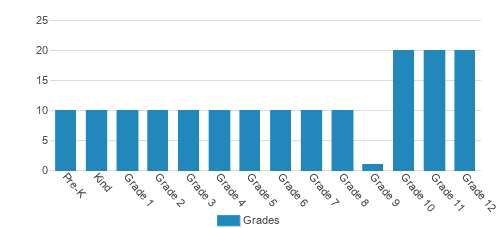 Center for Teaching & Learning Student By Grade Center for Teaching & Learning Student By Grade