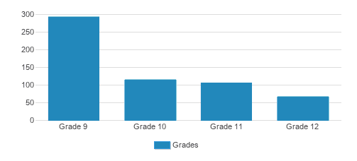 Citizens' High School Student By Grade Citizens' High School Student By Grade
