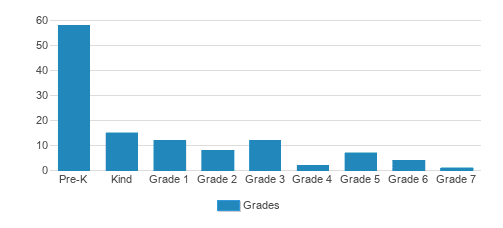 Abiding Peace Academy Student By Grade 