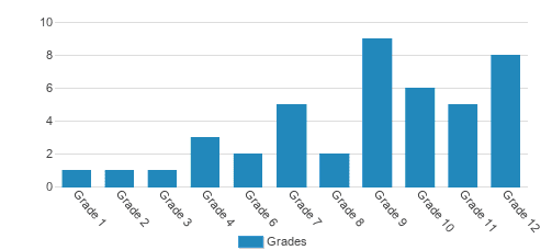 Intensive Education Academy Student By Grade Intensive Education Academy Student By Grade