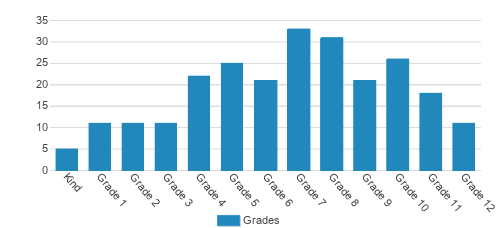 Quad Preparatory School (the) Student By Grade 