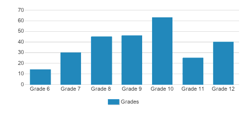 Williamsburg Academy Private School Student By Grade Williamsburg Academy Private School Student By Grade
