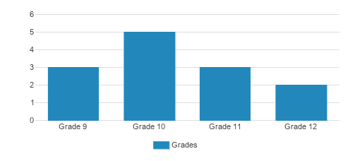 Bina High School Student By Grade  Bina High School Student By Grade
