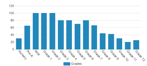 The Classical Academy Of Sarasota Student By Grade 