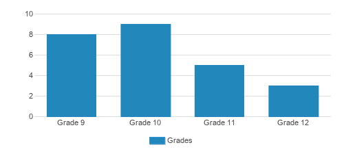 Derech Emunah Dba Seattle Jewish Girls High School Student By Grade  Derech Emunah Dba Seattle Jewish Girls High School Student By Grade