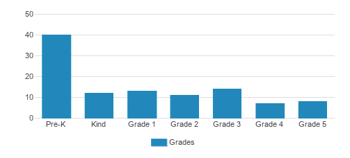 Golestan School Student By Grade  Golestan School Student By Grade