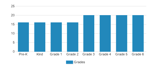 California International School Student By Grade California International School Student By Grade