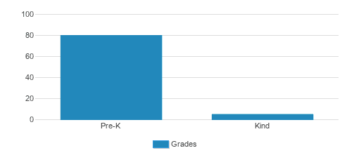 Beibei Amigos Language Preschool LLC Student By Grade 