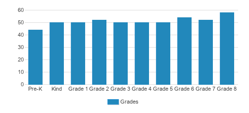 Christ The King Catholic School Student By Grade Christ The King Catholic School Student By Grade