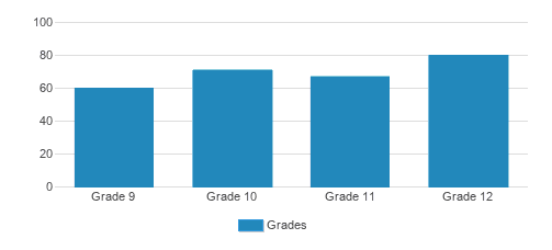 St. John Neumann Catholic High School Student By Grade St. John Neumann Catholic High School Student By Grade